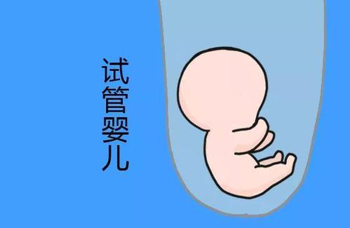 正规拉拉供卵代孕咨询